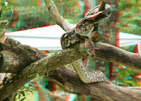 Anaglyph 760